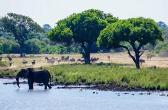 Національний парк: визначення