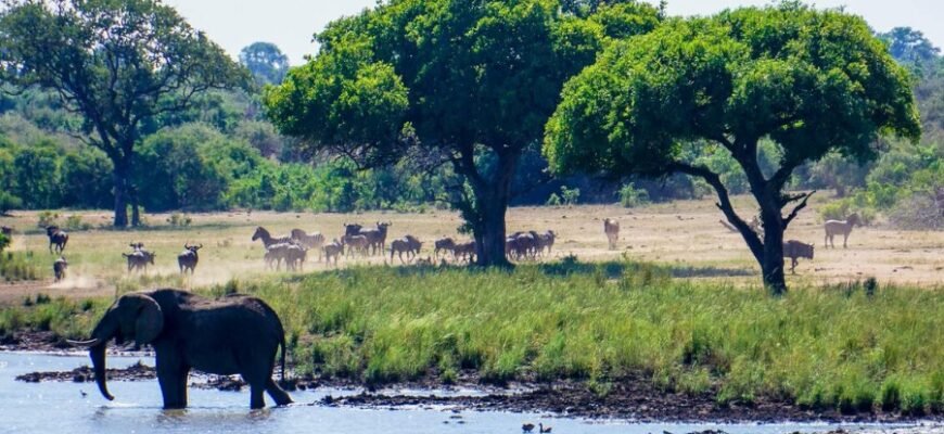 Національний парк: визначення