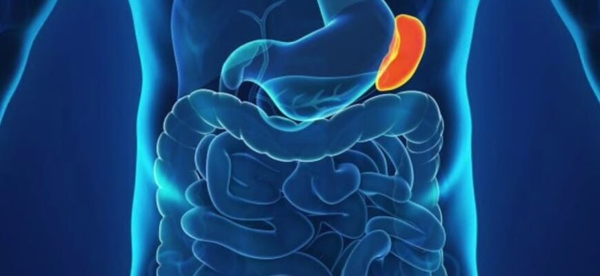 Що таке спленомегалія: причини