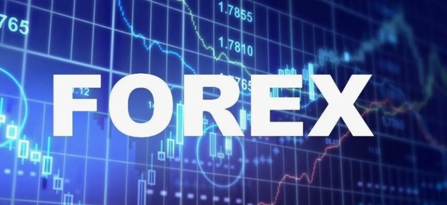 Валютний ринок: основи