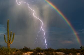 Розкриття Секретів Природи: Що Ви Маєте Знати Про Явища Природи