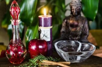 Що таке зілля: вивчаємо властивості та застосування рослинних настоїв